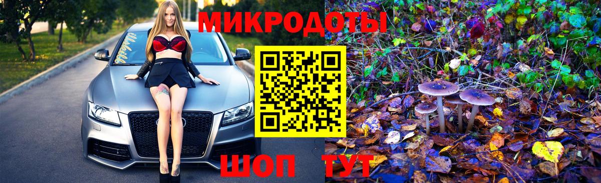 Псилоцибиновые грибы мицелий  Вход с VPN  Галлюциногенные грибы Psilocybe  Дербент 